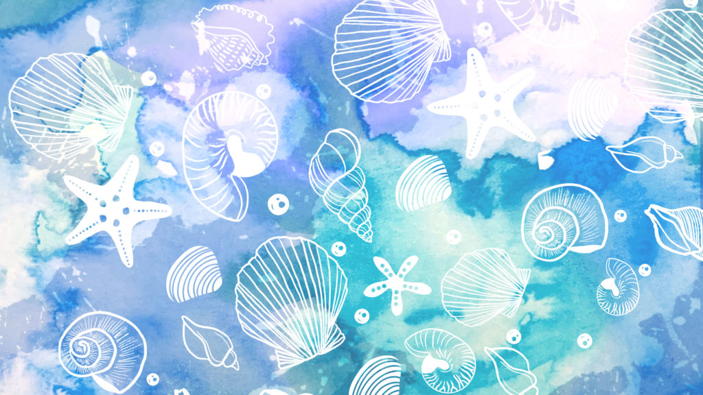 海の貝殻のイラスト　水彩画
