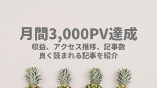 【ブログ】月間3000PV達成