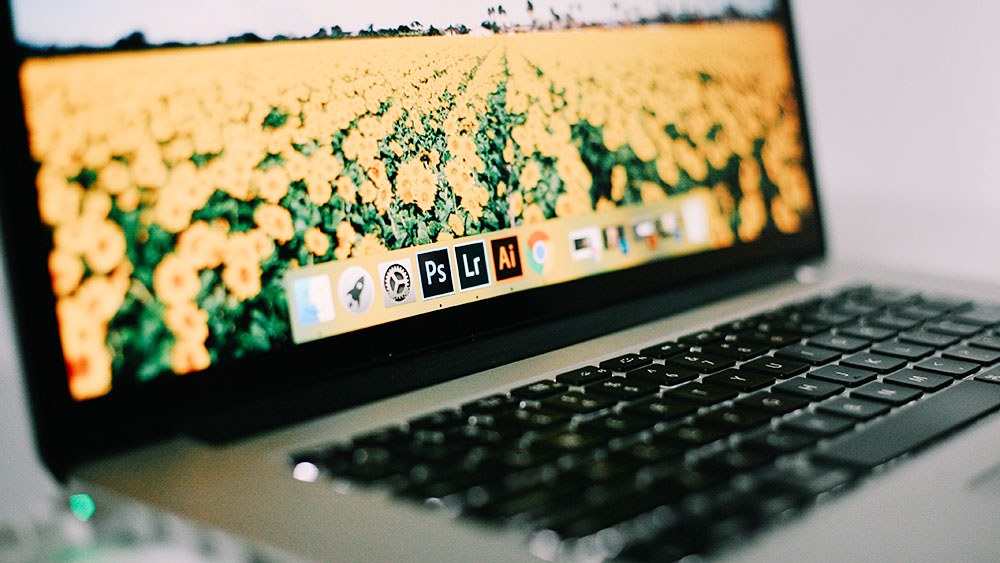 ストックフォト 動画が初めて売れた 報酬額をサイト別に比較してみた よしだイラスト